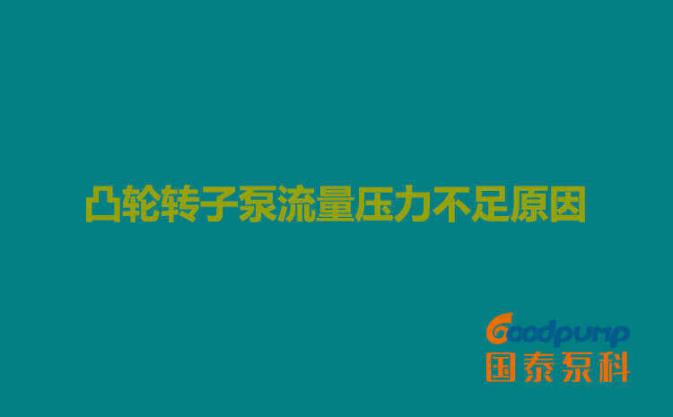 凸轮小蝌蚪污视频下载地址流量压力不足原因