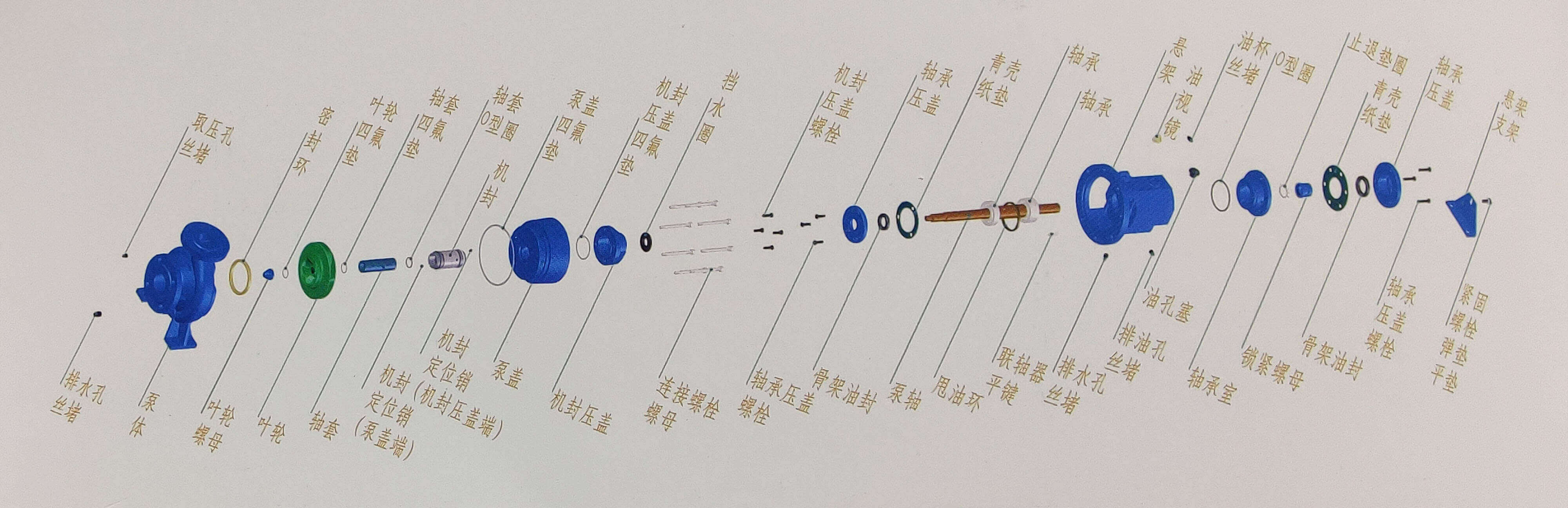NXH系列单级端吸化工小蝌蚪视频导航结构图
