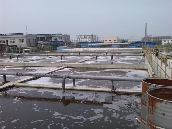 小蝌蚪污视频下载地址在沉淀池污泥处理中的应用